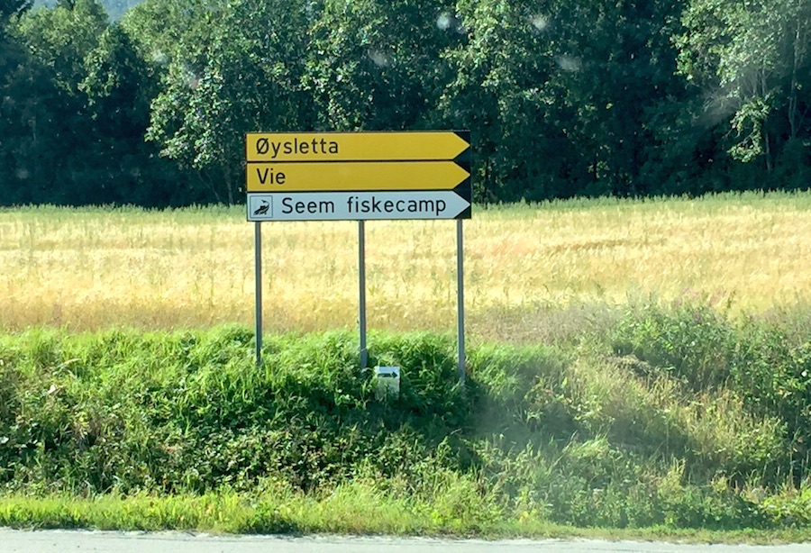 Namsskogan - Steinkjer 18