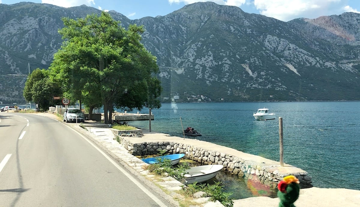 Montenegro 55