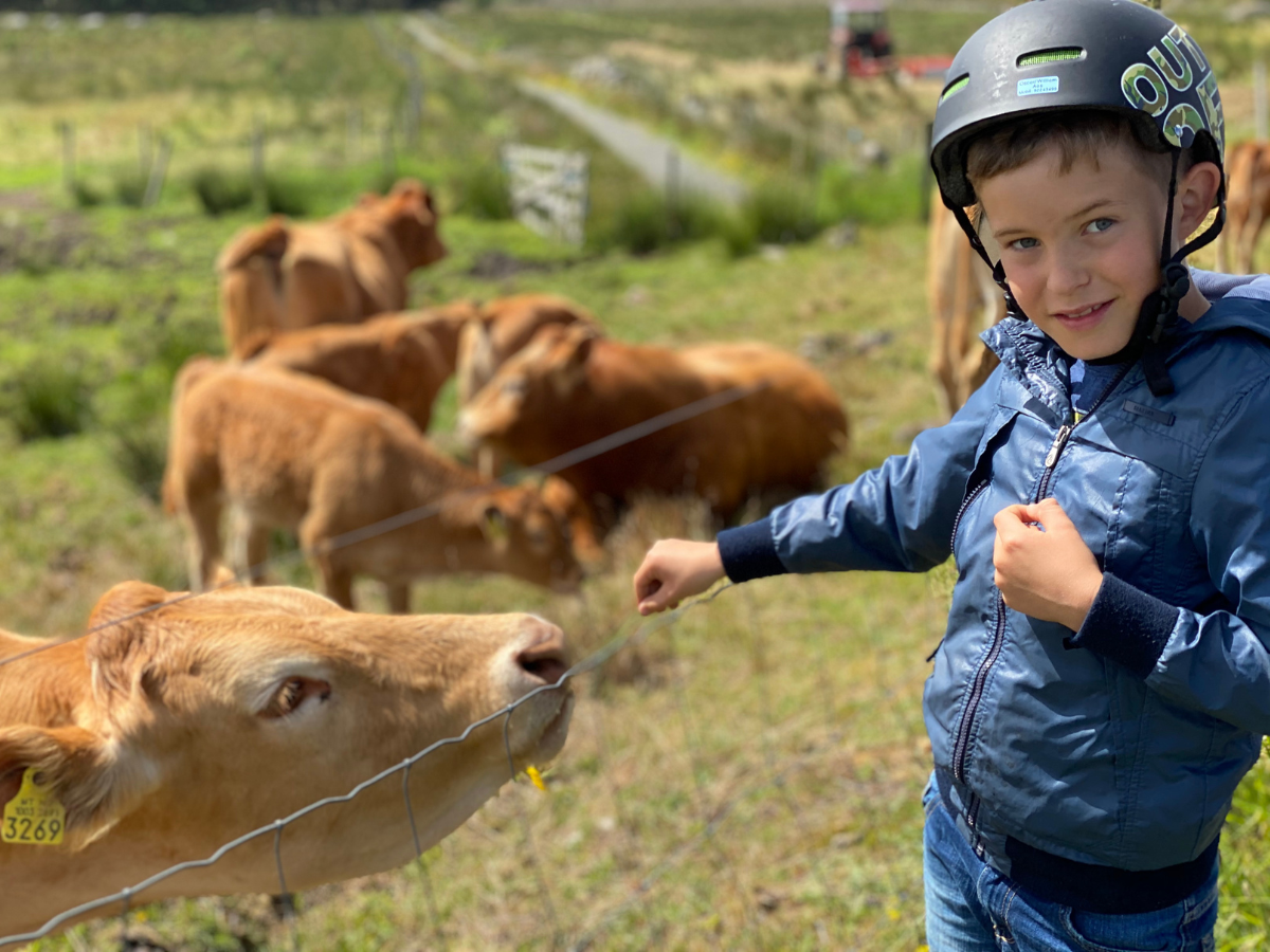 Vita Velo Lista